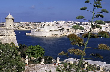 Image showing EUROPE MALTA VALLETTA