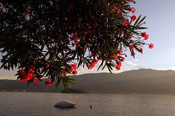 Image showing EUROPE ITALY LAGO MAGGIORE