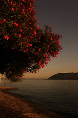 Image showing EUROPE ITALY LAGO MAGGIORE