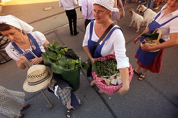 Image showing EUROPE GERMANY BLACKFOREST 