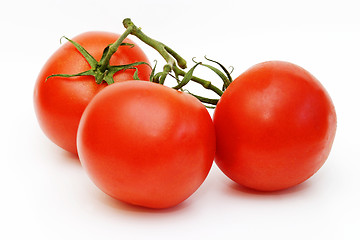 Image showing Three Tomatos