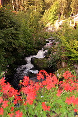 Image showing EUROPE GERMANY BLACKFOREST 