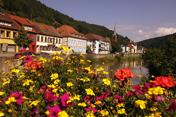 Image showing EUROPE GERMANY BLACKFOREST 