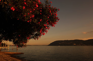 Image showing EUROPE ITALY LAGO MAGGIORE