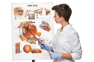 Image showing Optician or oculist woman tells about structure of the eye