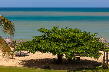 Image showing tropical garden and  the ocean beach