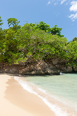 Image showing Beach on tropical island. Clear blue water, sand, bush. 