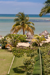 Image showing tropical garden and  the ocean beach