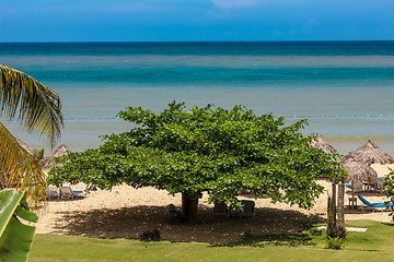 Image showing tropical garden and  the ocean beach