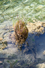 Image showing Plitvice lakes of Croatia 