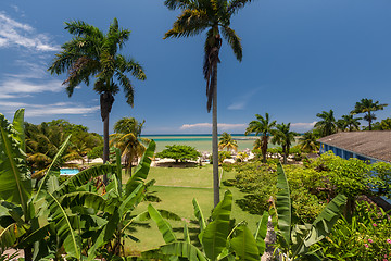 Image showing tropical garden with flowers and beach