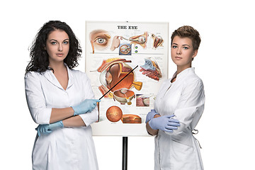 Image showing two optician or oculist women telling about structure of the eye