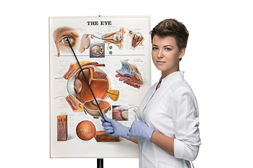 Image showing Optician or oculist woman telling about structure of the eye