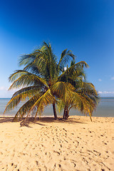 Image showing Beach on tropical island. Clear blue water, sand, palms. 