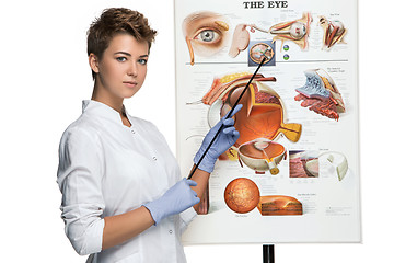 Image showing Optician or oculist woman tells about structure of the eye