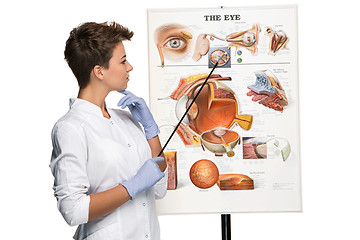 Image showing Optician or oculist woman telling about structure of the eye