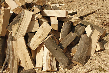 Image showing Heap of chopped hornbeam firewood