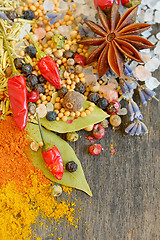 Image showing Colorful spices and herbs