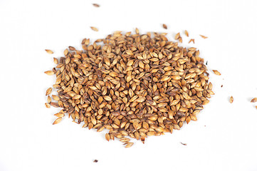 Image showing malt grains
