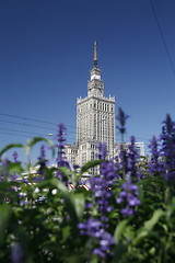 Image showing EUROPE POLAND WARSAW