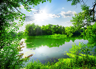 Image showing Green spring on river