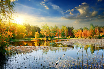 Image showing Yellow autumn on river