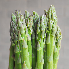 Image showing Asparagus vegetable