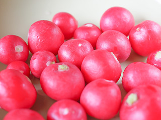 Image showing Radish vegetable 