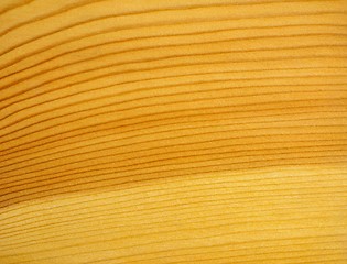 Image showing Brown larch wood background