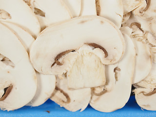 Image showing Champignon mushroom