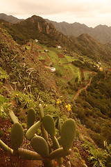 Image showing SPAIN CANARY ISLANDS TENERIFE