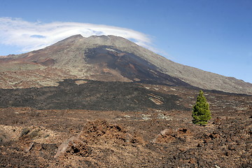 Image showing SPAIN CANARY ISLANDS TENERIFE