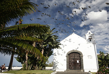 Image showing SPAIN CANARY ISLANDS TENERIFE