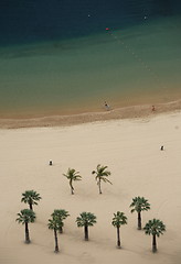 Image showing SPAIN CANARY ISLANDS TENERIFE