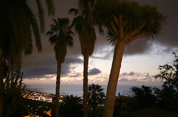 Image showing SPAIN CANARY ISLANDS TENERIFE