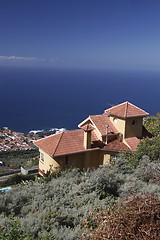 Image showing SPAIN CANARY ISLANDS TENERIFE