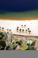 Image showing SPAIN CANARY ISLANDS TENERIFE