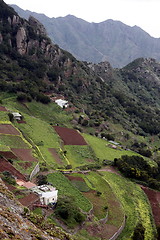 Image showing SPAIN CANARY ISLANDS TENERIFE