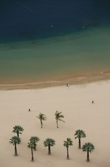 Image showing SPAIN CANARY ISLANDS TENERIFE