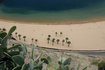 Image showing SPAIN CANARY ISLANDS TENERIFE