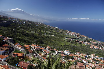 Image showing SPAIN CANARY ISLANDS TENERIFE