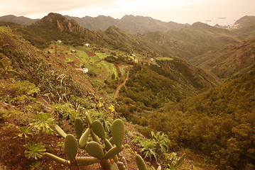 Image showing SPAIN CANARY ISLANDS TENERIFE