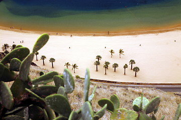 Image showing SPAIN CANARY ISLANDS TENERIFE