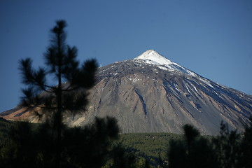 Image showing SPAIN CANARY ISLANDS TENERIFE