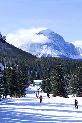 Image showing Skiing in mountains