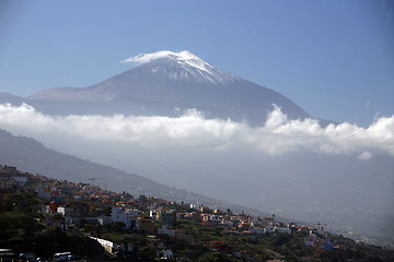 Image showing SPAIN CANARY ISLANDS TENERIFE