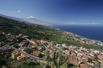 Image showing SPAIN CANARY ISLANDS TENERIFE