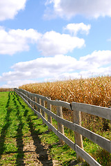 Image showing Rural landscape