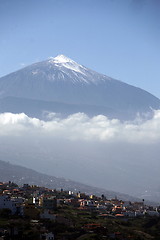 Image showing SPAIN CANARY ISLANDS TENERIFE