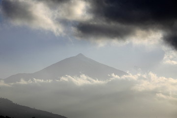 Image showing SPAIN CANARY ISLANDS TENERIFE